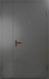 Фото двери «Техническая дверь №6 полуторная» в Краснозаводску